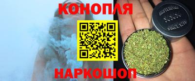 гашик Пыть-Ях